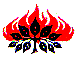 Burning Bush